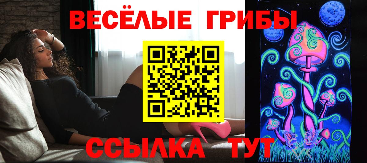 Галлюциногенные грибы Psilocybine cubensis Норильск