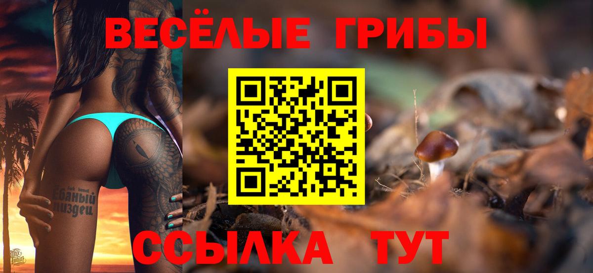 где можно купить   Вход с VPN  Норильск  Псилоцибиновые грибы мицелий  Галлюциногенные грибы прущие грибы 
